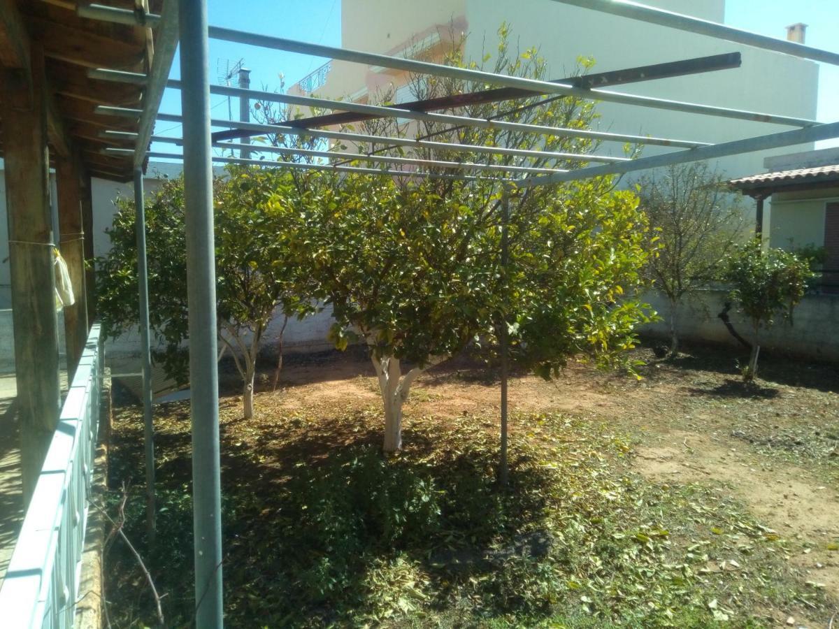 Vangelis House Near Athens Airport Artemida  Luaran gambar