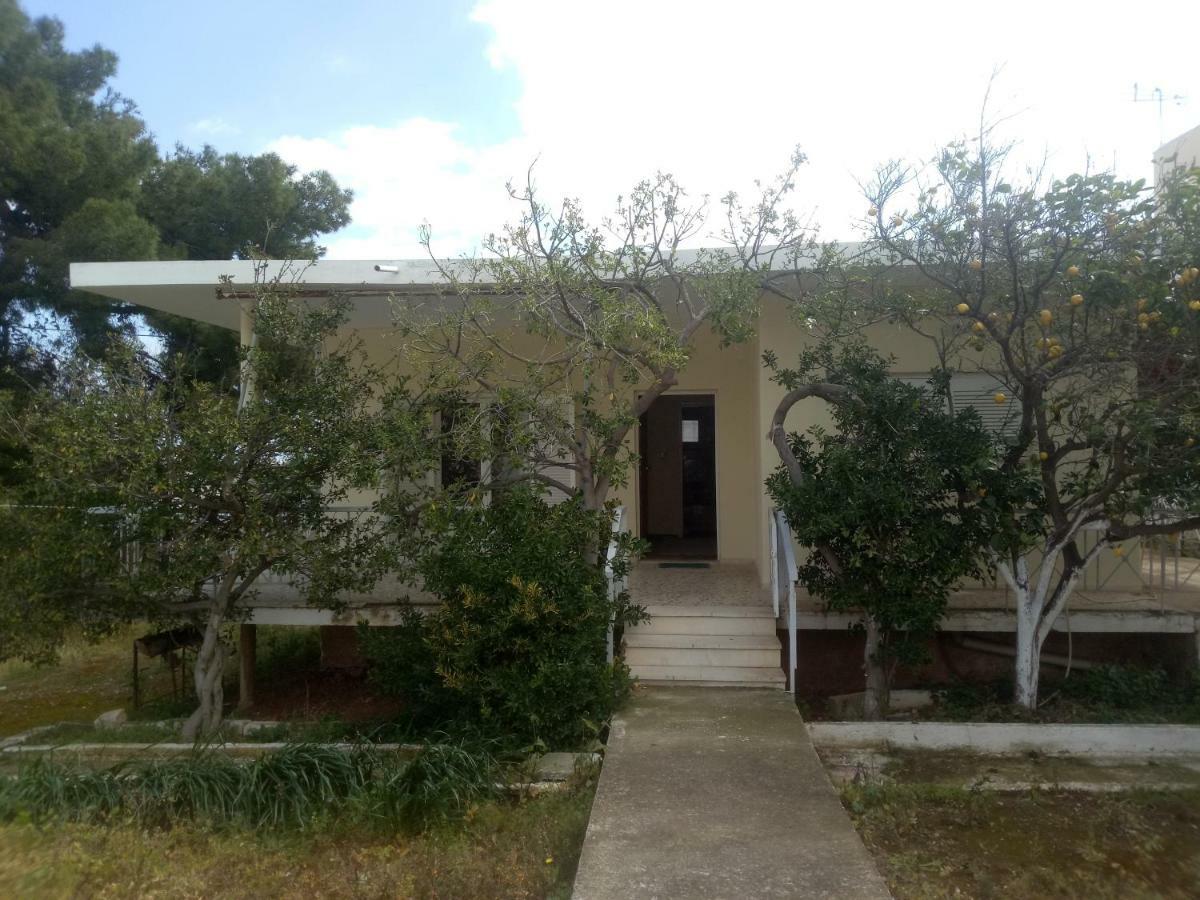 Vangelis House Near Athens Airport Artemida  Luaran gambar